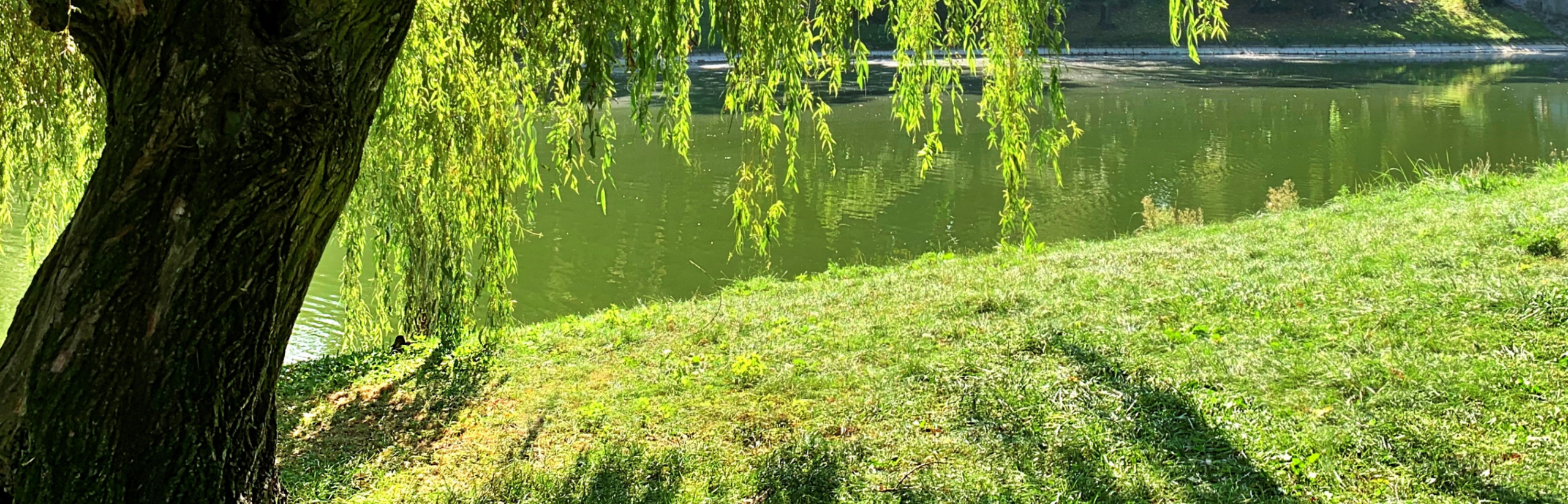 municipales-challans-en-grand-environnement